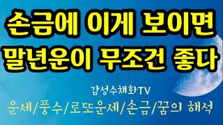 &quot;손금에 이게 보이면~말년운이 무조건 좋다&quot;