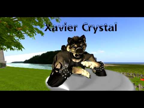 Xavier Crystal - Riley (Ramona Parody)
