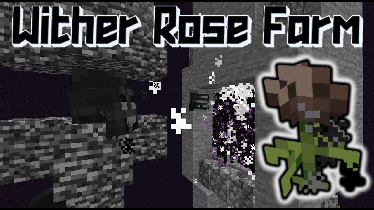 FARM DI WITHER ROSE! 1.16 - Minecraft ITA #38 - YouTube