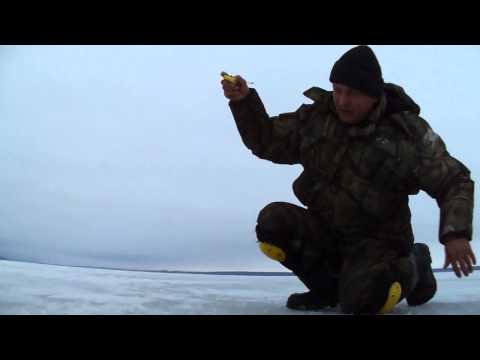 Зимняя ловля плотвы. Или, на Печенеги за плотвой. Winter fishing for roach.