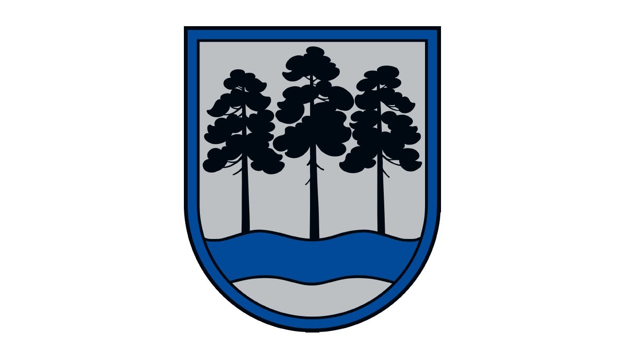 Ogres novada pašvaldības domes sēde 26.02.2026.