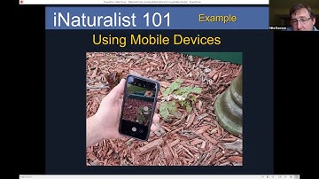 INaturalist 101 Webinar