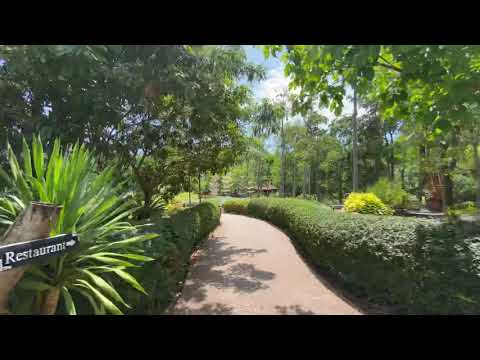 Holiday Krabi-honeymoon mood-Aonang Fiore Resort-buggy sekitar taman