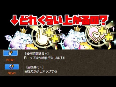 延長 パズドラ 指