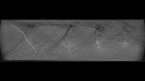 Schlieren video of a shock train in Mach 2.0 ducted flow