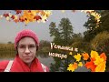 Усманка в ноябре. Боровое и Сомово #воронеж #усманка #боровое #сомово #осень #ноябрь