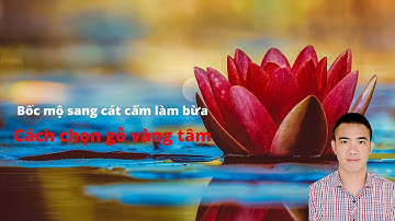 Rước Họa 3 Đời, bốc mộ sang cát, Những Cấm Kỵ Khi Cải Táng, Cách chọn quách hỏa táng gỗ vàng tâm