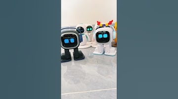 Robotteam Eilik en emo dansen