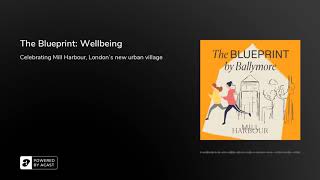 The Blueprint: Wellbeing