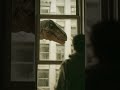 dinasour #dinasours #dinasour