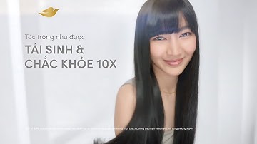 DOVE MỚI - BỔ SUNG PROTEIN TƯƠNG THÍCH VỚI CẤU TRÚC TÓC