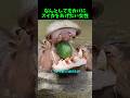 カバのために全力を尽くす女性