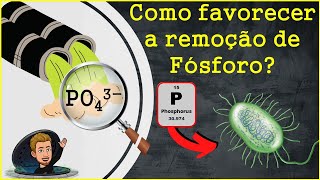 Remoção biológica de fósforo de esgotos: processo EBPR