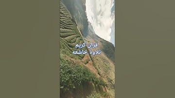 قران كريم تلاوه خاشعه ا #القران راحه نفسيه #اكسبلور #لايك #اكسبلورر