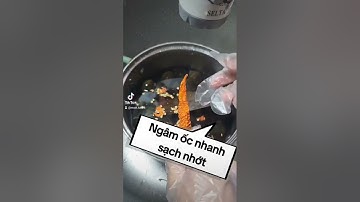 Cách ngâm ốc nhanh nhả sạch nhớt các bạn nhé.#muoinguyen #mẹohay