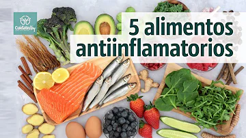 ¿Cuáles son los cinco alimentos más inflamatorios?