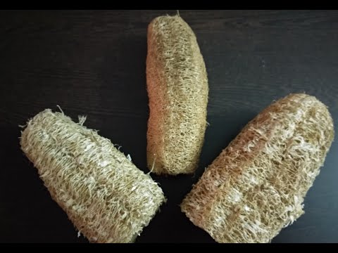 Como fazer bucha orgânica caseira