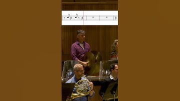 Thumbnail of Don’t play in the gaps!  – Tchaikovsky: Romeo and Juliet – Cymbals moment  #orchestra #percussion