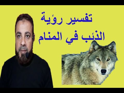 فيديو: لماذا تحلم الذئاب