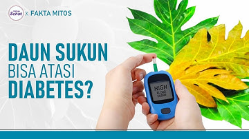 Benarkah Daun Sukun Bisa Mengatasi Diabetes? | Hidup Sehat tvOne
