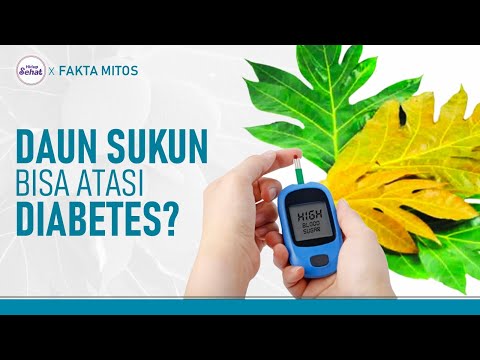 Cara Masak Daun Sukun
