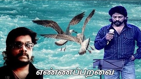 Enna paravai  Siragadithu Kalayarasaninsangeetham 🎼kalayarasan ph:9884730023