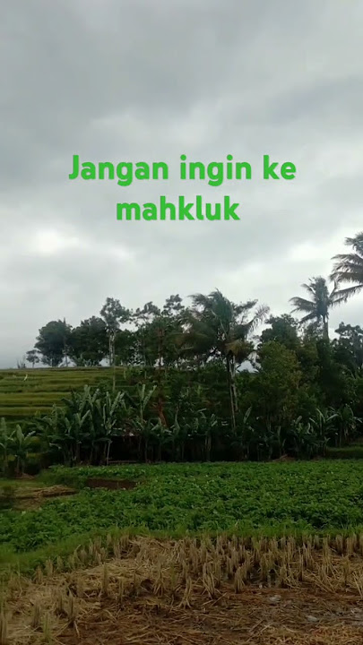 Waw sangat indah ciptaan tuhan, pemandangan alam #motivasikehidupan #motivasi #katabijak #storywa