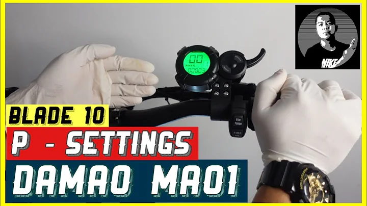 Pre Program Settings Damao Mao1 Display | P - Settings |  Blade 10 | James Angelo TV | Vlog.80