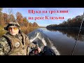 Рыбалка на Клязьме троллингом или как мы искали осеннюю щуку. Клязьма 2021. Собинский район