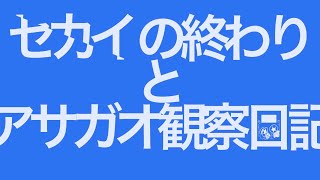セカイの終わりとアサガオ観察日記/滲音かこい