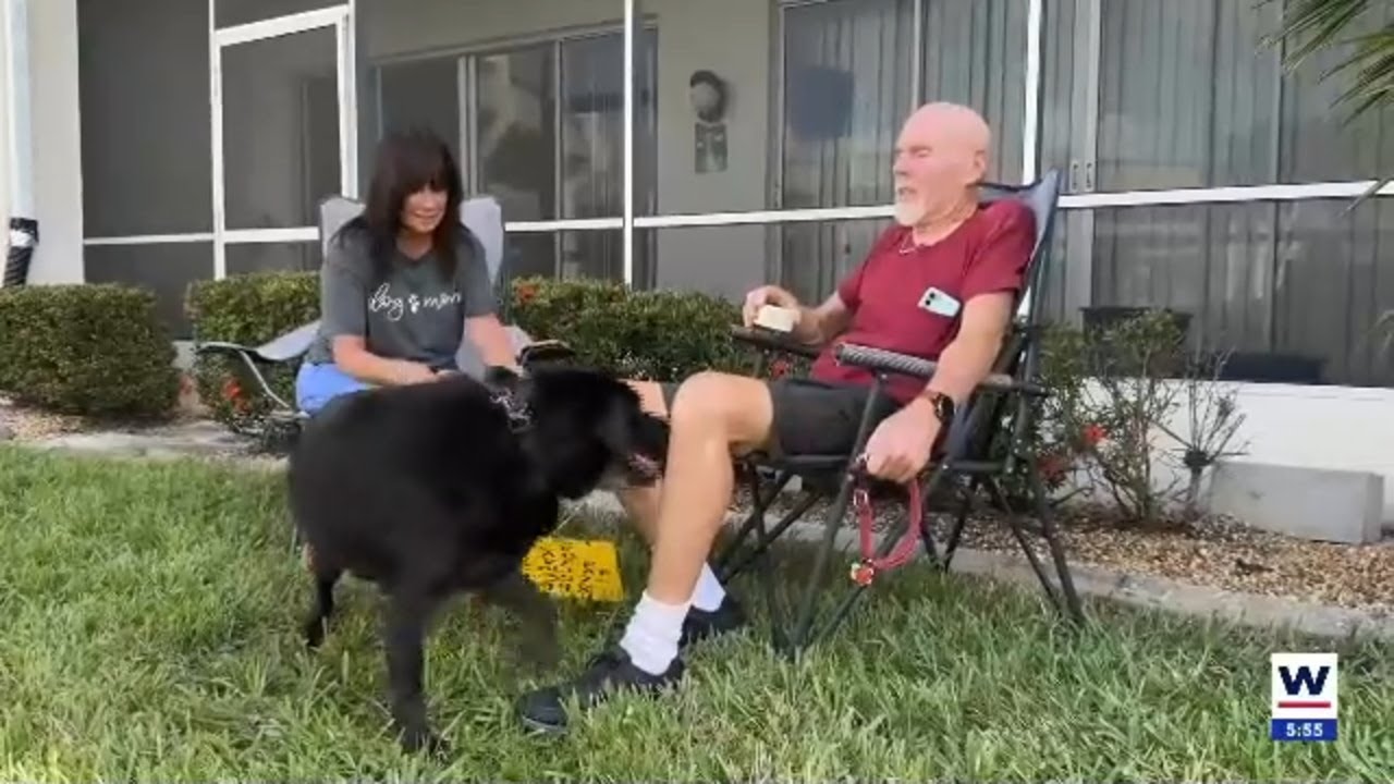 Punta Gorda man actively searches for missing service dog - YouTube