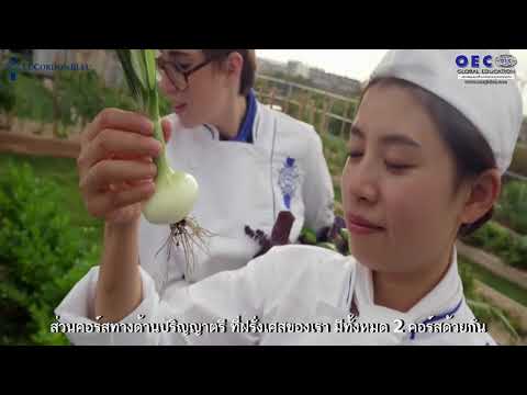 เรียนทำอาหาร และปริญญาตรีที่ Le Cordon Bleu