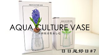 AQUA CULTURE VASE | 植物の成長を楽しめる花器 | ニチコレ#7