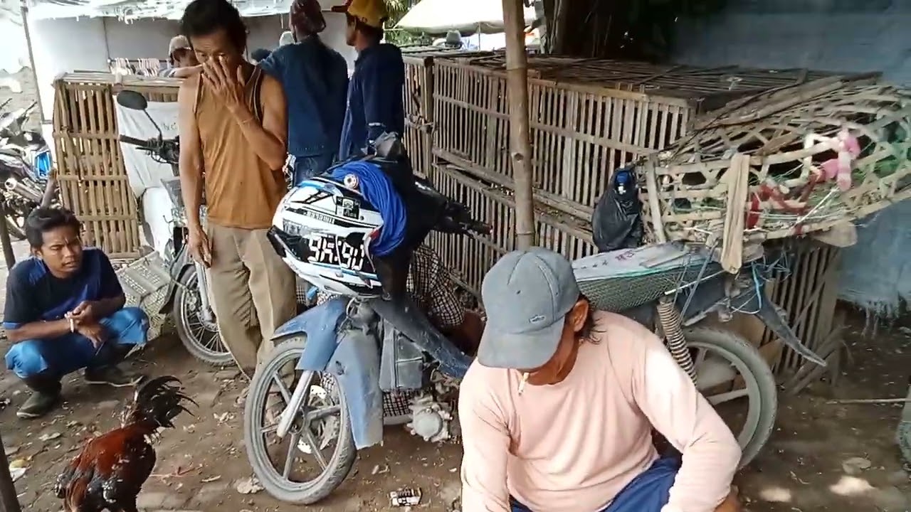 pasar ayam bangkok jatibarang