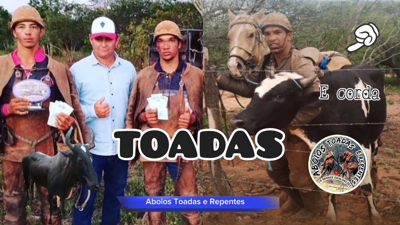 Cheiro da Vaquejada Wallas Leite Feat: Toada do Vaqueiro Marcelo buraqueiro e Mas duas top Toadas