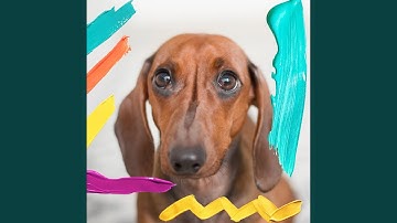 Pulsating Ambience for Doggy Sounds