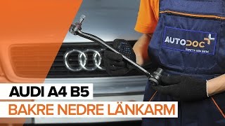 Hur byter man Momentstag A4 Avant (8D5, B5) - steg-för-steg videoinstruktioner