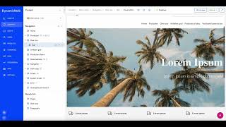 DynamicWeb 10 - Zo beheer je content pagina's en werk je met de visual editor
