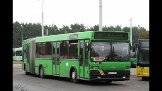 Автобус Минска МАЗ-105 , гос.№ АВ 1430-7 (16.09.2017)