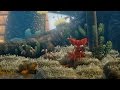 SEE YOU AT THE SEA | Unravel Part 2