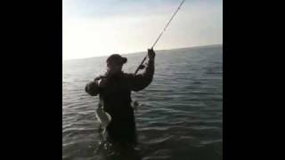 WADE RIGHT Fishing Belt