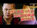 📚14話「吠えよるのぉ、舛添」大暴れの桐生、陽銘連合会若頭 小清水に正体バレる【龍が如く6】