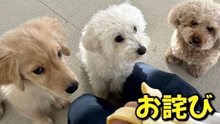 お詫びと我が家の現状報告