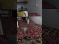 #trending #ytshorts #shorts #viralvideo #youtubeshorts #short #trendingshorts #youtube #shortvideo