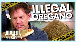 A look into the Shady World of Illegal Oregano | Food Unwrapped