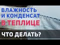 Влажность и конденсат в теплице / Из за чего появляется и как избавиться?