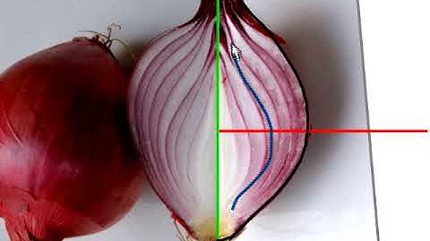 Volumetric Modeling with Diffusion Surfaces