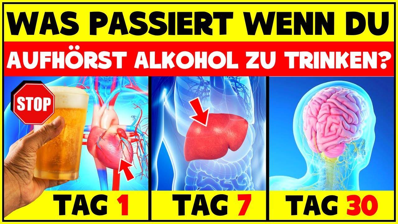 Was Passiert Wenn Du Aufhörst Alkohol Zu Trinken? Wie Verändert Sich Der Körper Ohne Alkohol?