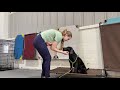 Short dog training session transitional leash walking  puppy biting w treat delivery