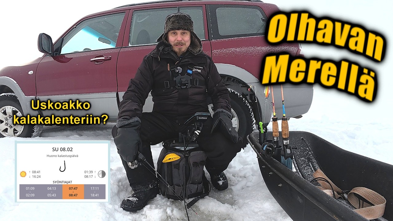 Autolla merelle pilkille